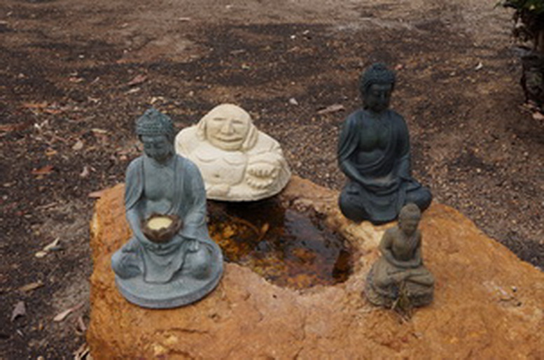 File:DSC02081.jpg