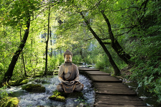 File:Buddhagarden.jpg