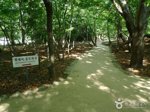 File:1200884.jpg