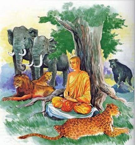 File:HumanAnimal-2.jpg