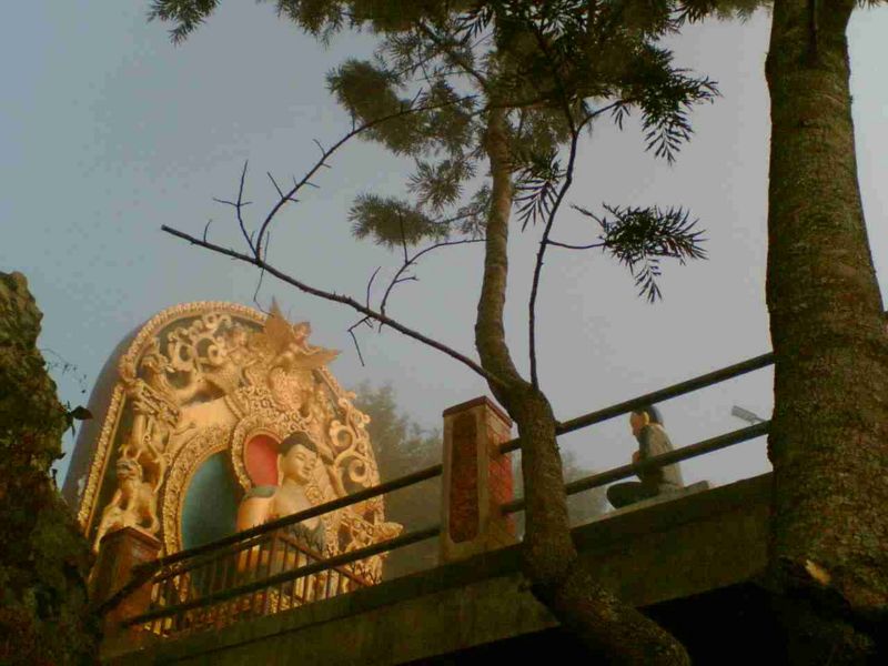 File:Buddha 5 disc Namo Buddha.jpg