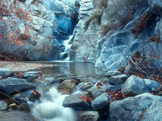File:597xy8.jpg