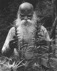 File:Cannabispickerindu.jpg