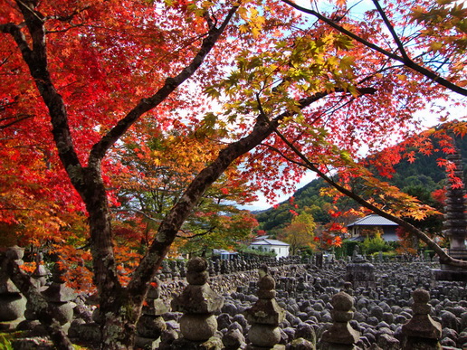 File:Adashino1.jpg