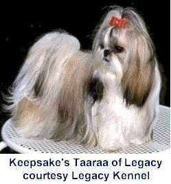 The Shih Tzu & Symbolism