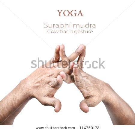 File:Cow mudra.jpg