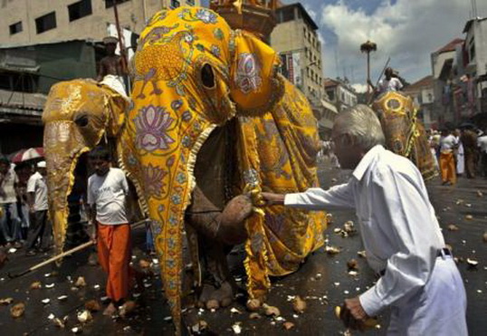 File:Elephantfestiv.jpg