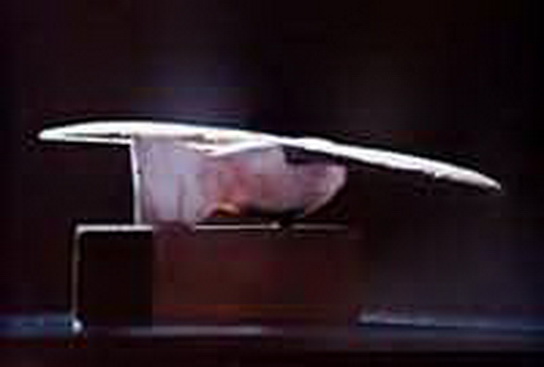 File:Sar 7eg.jpg