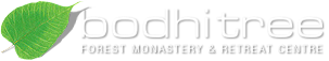 File:Bt logo white.png