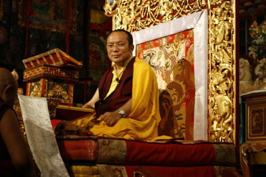 File:Chamgon Kenting Tai Situpa01.jpg