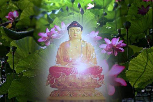 File:262tyu.jpg