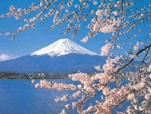 File:Shinto4457.jpg