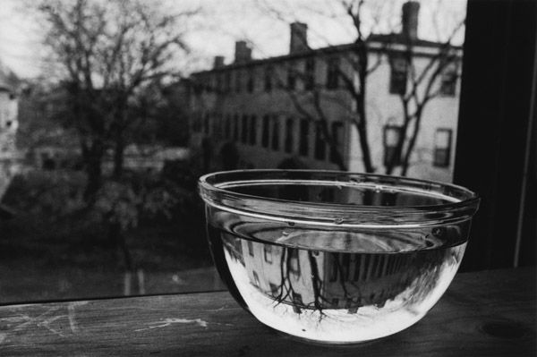 File:Water-bowl-at-window.jpg