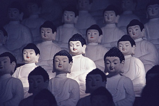 File:Buddhvbn-500.jpg