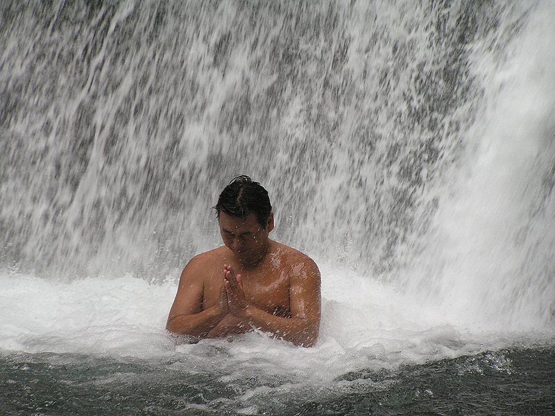 File:Taki-gyo 8118084.jpg