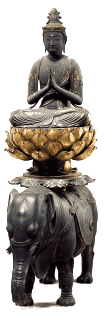 The word bodhisattva