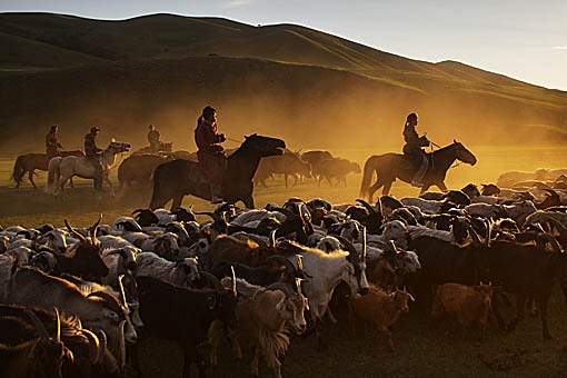 File:Mongolia2-4 t.jpg