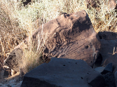 File:Naturalfact.jpg