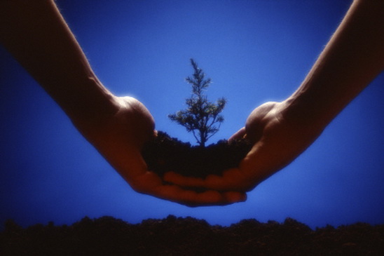 File:Power-of-surrender.jpg