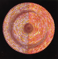 Fig. 10aBrow Chakra(Notice the two halves as well as the 96 striations according to Leadbeater.)