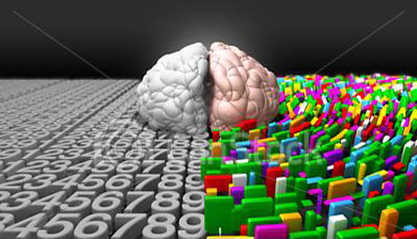 File:Right-brain-3.jpg