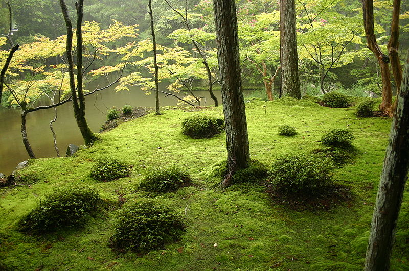 File:Saihouji-kokedera01.jpg