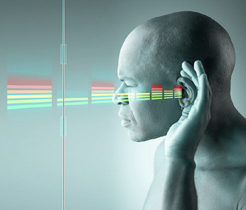 File:Hearing00.jpg