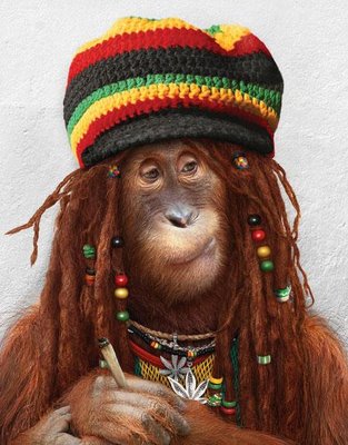 File:Monkey-tribal.jpg