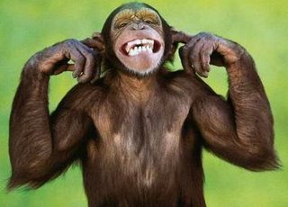 File:Monkeyears1.jpg