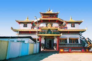 File:Kalimpongdurpin.jpg