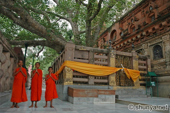 File:IndianMonk07.jpg