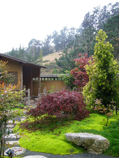 File:Tea garden Green Gulch farm.jpg