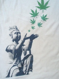 File:Cannabis4432.jpg