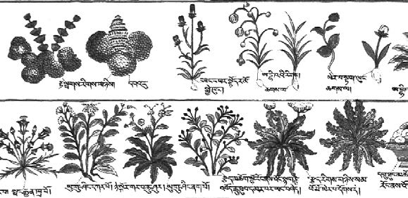 Medical Thangka, from SD Rubin Foundation