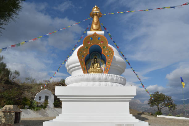 File:Istockphoto-1199958043-612x612.jpg