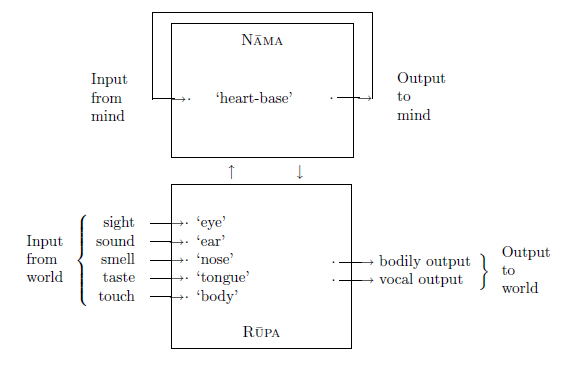 Figure 1: Nāma-Rūpa