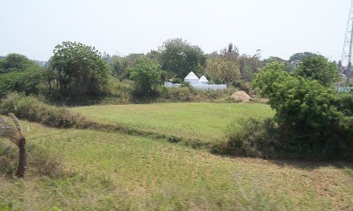 File:72507448.jpg