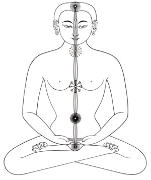 File:Iyogi300a.jpg