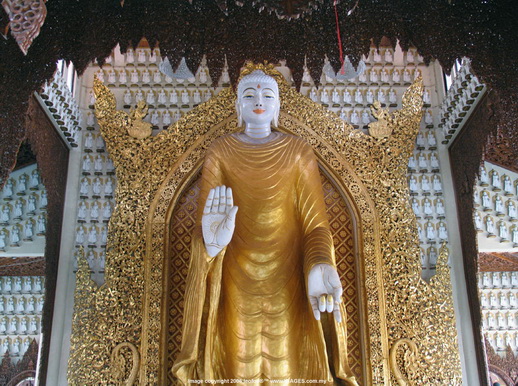 File:Burmese A.jpg