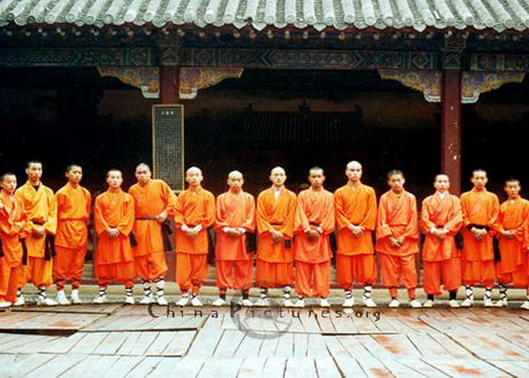 File:Sha 53924658.jpg