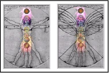 Fig. 18"Vitruvian Man and Woman"Showing Computer generated Chakra Energy Intensities(After Leonardo Da Vinci)