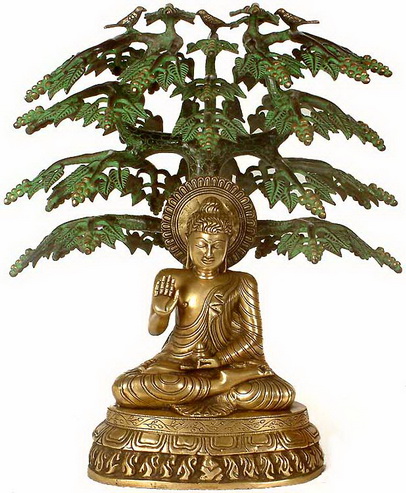 File:Bodhi tree 78.jpg