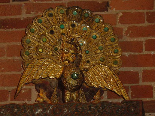 File:113 cock.jpg