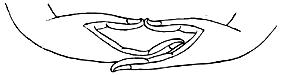 File:Meditative mudra.jpg