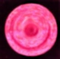 Coccyx ChakraNotice the horizontal division and the two magenta like hues.
