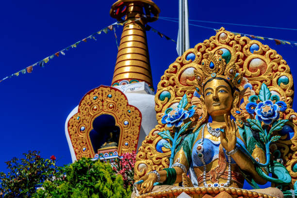 File:Istockphoto-1216094557-612x612.jpg