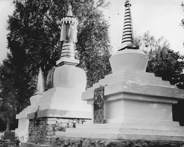 File:Rotaalia-stuupad-Must-Valge.jpg
