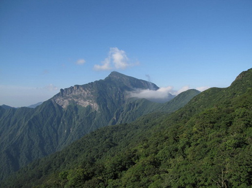 File:Fanjing 12.jpg