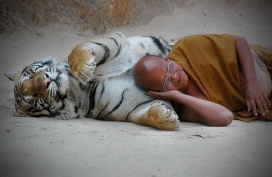 File:G-with-tiger.jpg