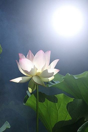 File:10502063 67hg.jpg
